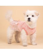 Robe pour petit chien Pinkaholic JOIE | Rose