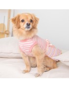 Robe pour petit chien Pinkaholic JOIE | Rose