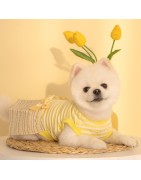 Robe JOIE - PINKAHOLIC jaune