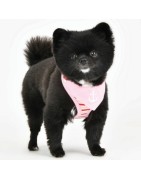 Harnais réglable Seaman rose | Puppia