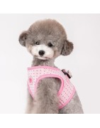 Harnais veste pour petit chien Pinkaholic MILA | Rose