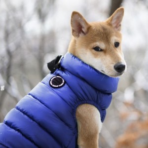 Doudoune Ultralight marine | Puppia