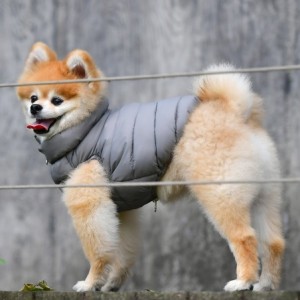 Doudoune Ultralight grise | Puppia