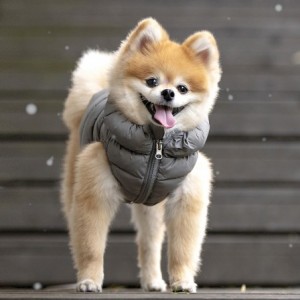 Doudoune Ultralight grise | Puppia