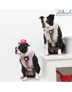 Harnais réglable chien Junior noir | Puppia