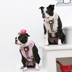 Harnais réglable chien Junior noir | Puppia