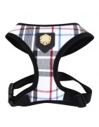 Harnais réglable chien Junior noir | Puppia