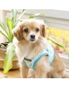 Harnais veste pour chien | PUPPIA FETE | Bleu imprimé festif