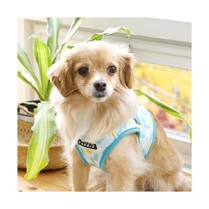 Harnais veste pour chien | PUPPIA FETE | Bleu imprimé festif