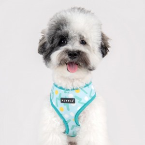 Harnais veste pour chien | PUPPIA FETE | Bleu imprimé festif
