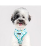 Harnais réglable pour chien | Puppia FETE | Impriblé bleu festif