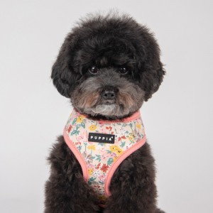 Harnais veste pour chien | PUPPIA LITA | Motif fleur Rose