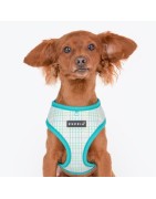 Harnais ajustable pour chien | PUPPIA LUKE | Motif carreaux Turquoise