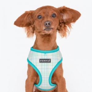 Harnais ajustable pour chien | PUPPIA LUKE | Motif carreaux Turquoise