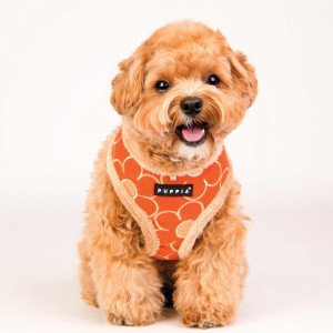 Harnais ajustable pour chien | PUPPIA FLORENT | Orange avec fourrure