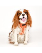Harnais ajustable pour chien | PUPPIA FLORENT | Orange avec fourrure