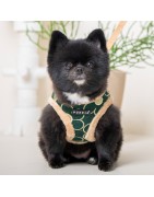 Harnais ajustable pour chien | PUPPIA FLORENT | Orange avec fourrure