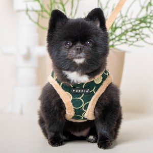 Harnais ajustable pour chien | PUPPIA FLORENT | Orange avec fourrure