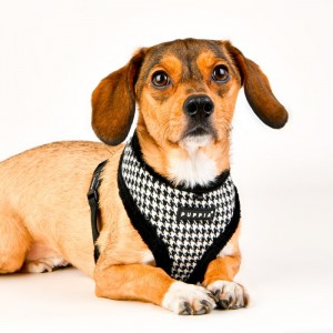Harnais ajustable pour chien | PUPPIA SHEPHERD | Noir avec fourrure