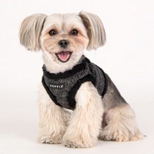 Harnais veste pour chien avec fourrure | PUPPIA HEPATICA| Noir