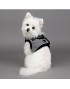 Harnais veste Gaspar noir | Puppia