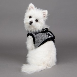 Harnais veste Gaspar noir | Puppia