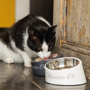 Gamelle pour chat MY FAVORITE CAT