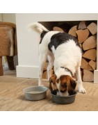 Gamelle acier inoxydable FERIBO | Chien et chat