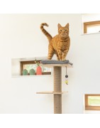 Arbre à chat KAMINA Designed by Lotte