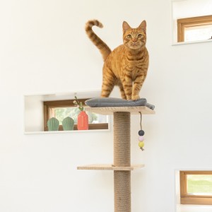 Arbre à chat KAMINA Designed by Lotte