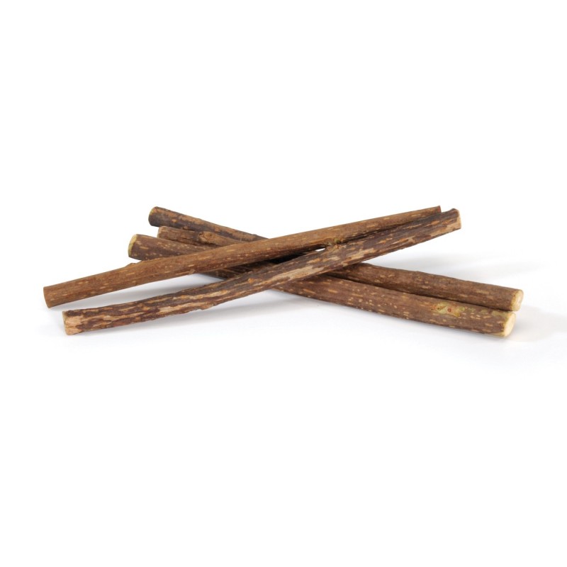 Friandise pour chat Matatabi 100% naturel | 10g | 12 cm
