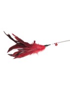Jouet canne à pêche papillon Marron pour chats