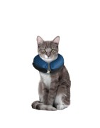 Collier gonflable pour protéger les chiens et chats blessés pour une meilleure guérison