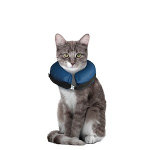Collier gonflable pour protéger les chiens et chats blessés pour une meilleure guérison