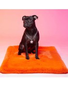 Le Tapis Collection MILK AND SUGAR | Orange avec personnages Moofia