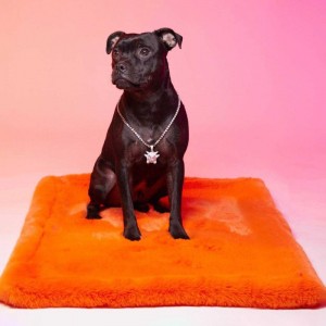 Le Tapis Collection MILK AND SUGAR | Orange avec personnages Moofia