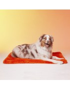 Le Tapis Collection MILK AND SUGAR | Orange avec personnages Moofia