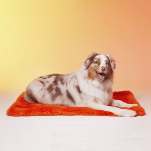 Le Tapis Collection MILK AND SUGAR | Orange avec personnages Moofia