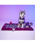 Le Tapis Collection RAINBOW PARTY | Violet avec personnages
