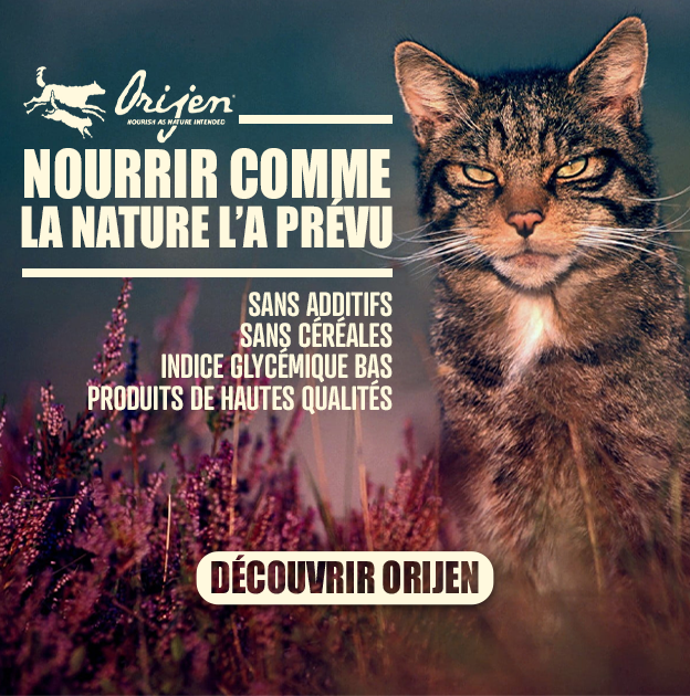 La marque préférée de nos félins