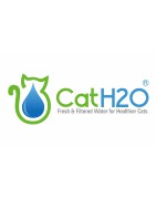 Cath20