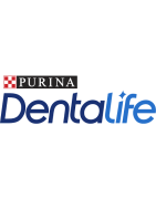 Dentalife