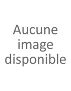 Promex